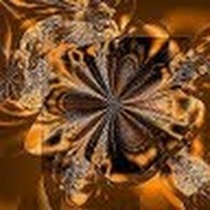 Meet your Posher, Ter